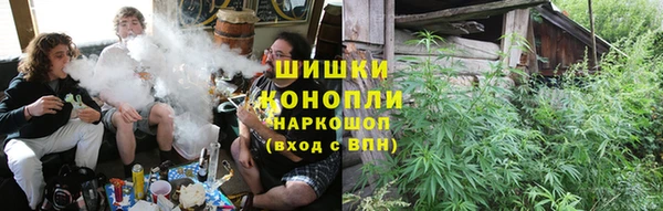 трава Белокуриха