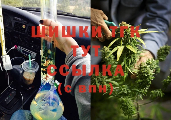 прущие грибы Балабаново