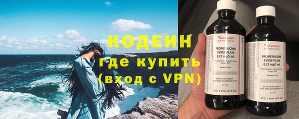 прущие грибы Балабаново